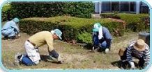 庭の草取り、除草作業など