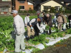 お知らせ（報告）