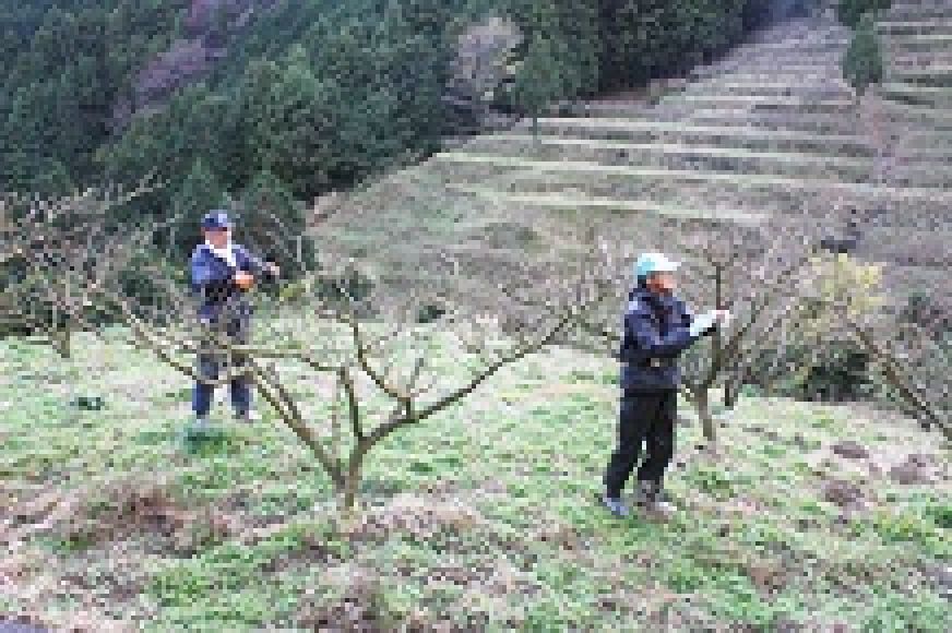 公益社団法人有田川町シルバー人材センター