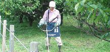 除草、清掃、屋内外の軽作業など一般作業系の仕事