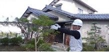 植木の手入れ(剪定)