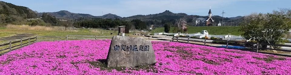 公益社団法人綾部市シルバー人材センター