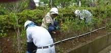 一般作業分野　（除草、軽作業など）