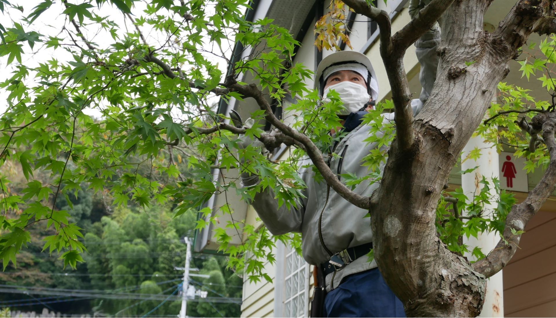 公益社団法人伊達市シルバー人材センター