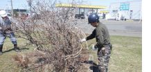 一般作業（屋内外清掃業務など）