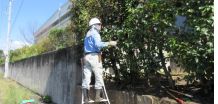 剪定、草刈・草取