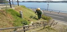 空き家管理サービス(除草･剪定･墓地清掃)