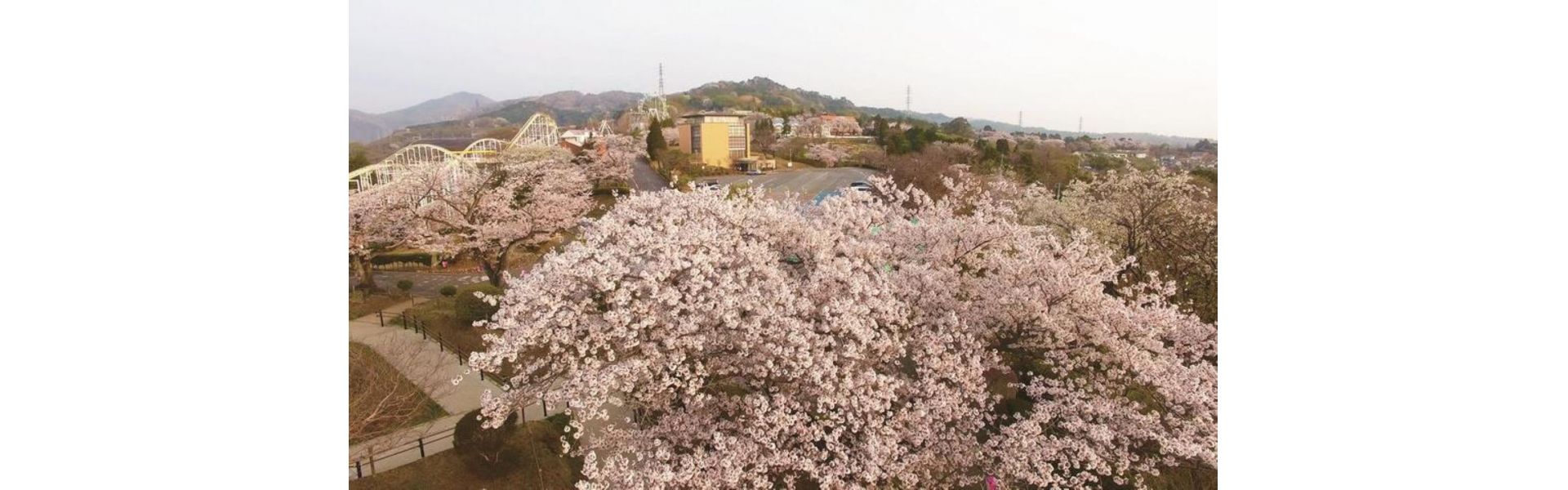 公益社団法人日立市シルバー人材センター
