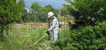 草取り・草刈り・屋内外一般作業