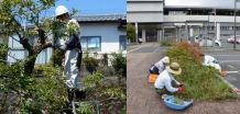 庭木の剪定・伐採、除草・草刈、蜂の巣駆除