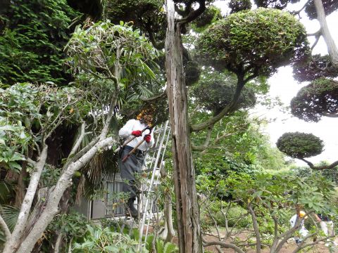 公益社団法人古河市シルバー人材センター