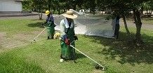 軽作業分野（除草、屋内・屋外清掃、屋内軽作業など）