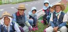 お家の庭・公園・他の草取りなど