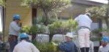 植木（植木班で植木の剪定や伐採を行っています。）