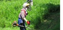 空き地、土手などの草刈りを行います