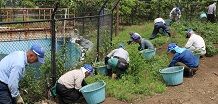 草むしり、草刈作業（刈払機）など