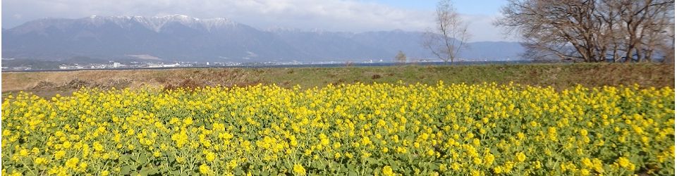 公益社団法人守山市シルバー人材センター