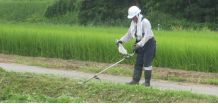 草刈り・除草作業