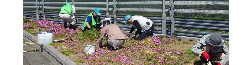 一般社団法人大衡村シルバー人材センター