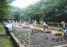 ◆桶川市シルバー人材センターの特徴