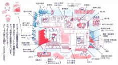 ◆　シルバー人材センターとは