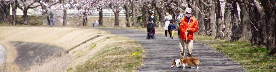 公益社団法人佐野市シルバー人材センター