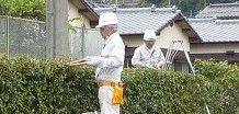 技能を要するお仕事（剪定、網戸の張替えなど）