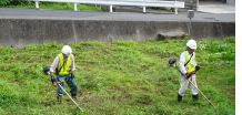 屋内外の一般作業の分野