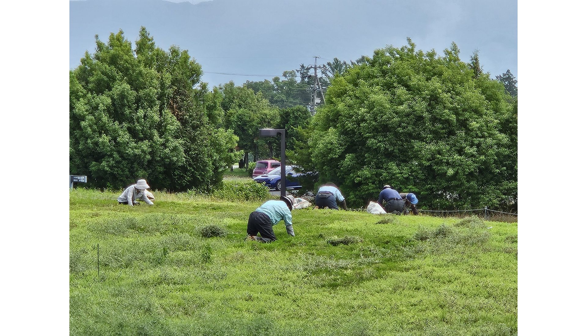 公益社団法人塩尻地域シルバー人材センター