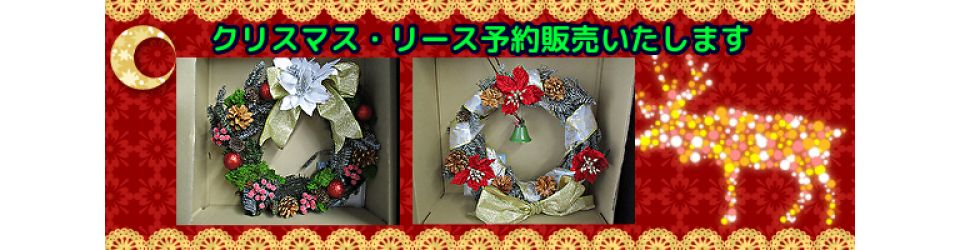 公益社団法人白岡市シルバー人材センター