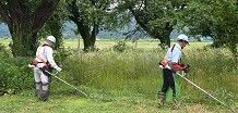 草刈り・草取り