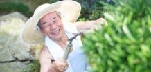 技能分野【植木手入れ、ふすま･障子･網戸張替え、塗装、刃物研ぎなど】