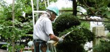 技術・技能分野（植木剪定・雪囲い・消毒、障子・ふすま張替など）