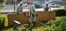 【一般作業分野】　　　　 除草、刈払、水撒き、屋内外清掃、その他雑役等　【家事援助分野】　 　　　掃除、炊事、洗濯、子守等