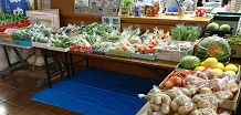 野菜の販売（独自事業）