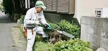 剪定作業・除草作業（個人宅のお庭に限ります。伐採、植え替え等、機械刈りには対応できません。）