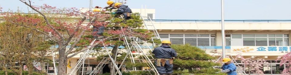 公益社団法人涌谷町シルバー人材センター