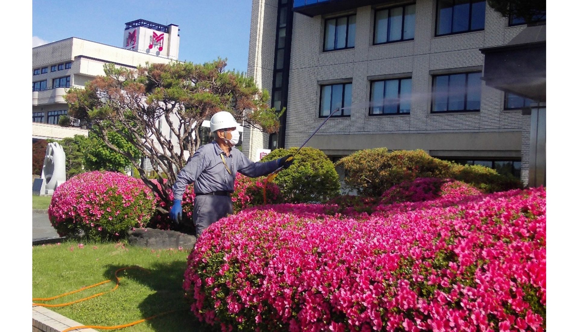 公益社団法人矢巾町シルバー人材センター