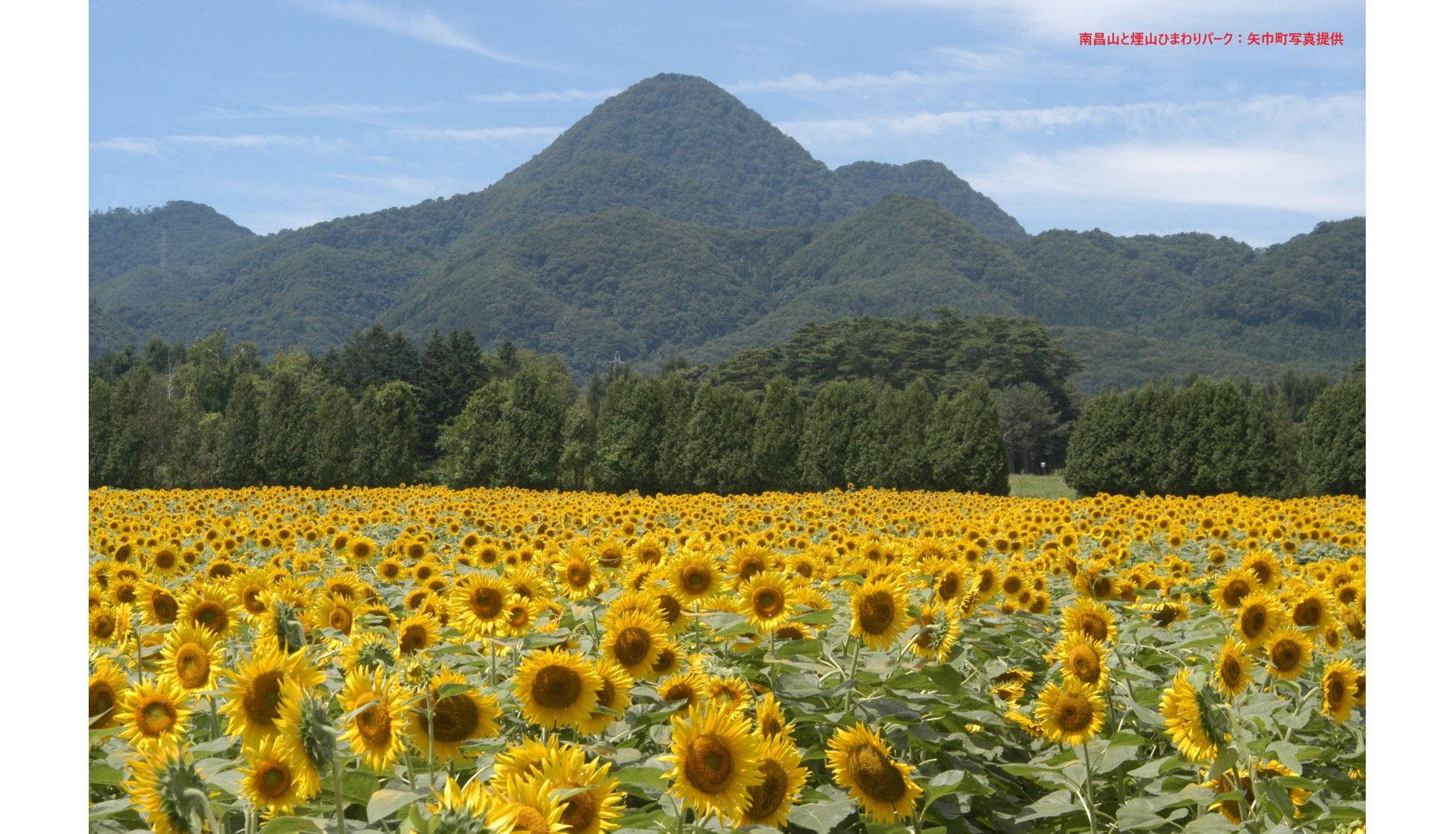 公益社団法人矢巾町シルバー人材センター