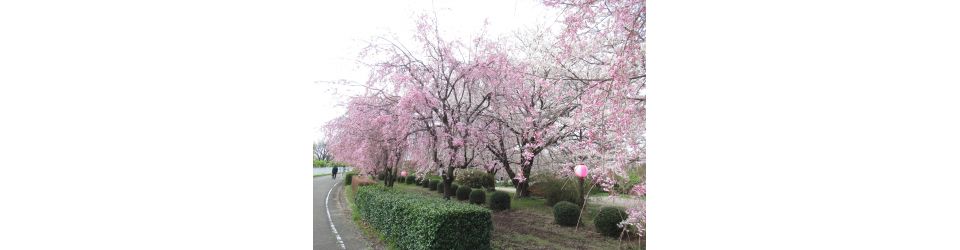 公益社団法人吉岡町シルバー人材センター